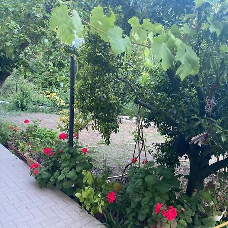 Proprieta Intero Allogio Con Parcheggio Villa Sestri Levante Eksteriør billede